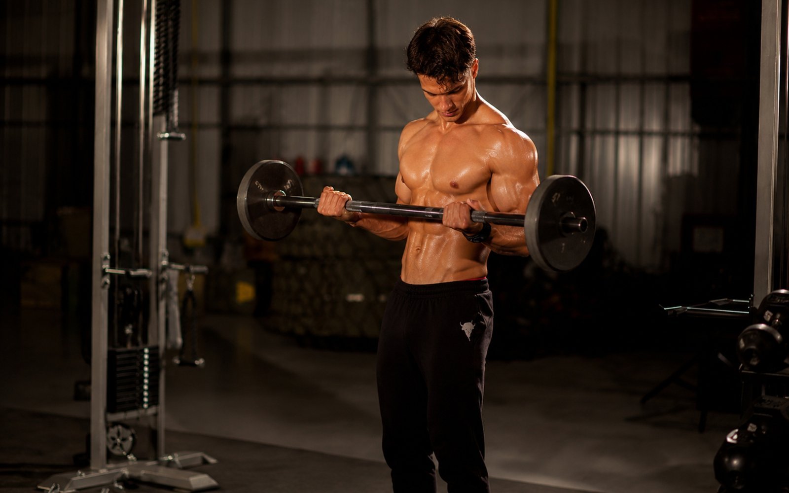 Curl biceps : technique, muscles, variantes et conseils pour bien progresser